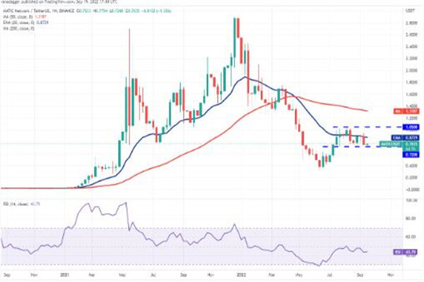 MATIC多边形今日最新行情 MATIC币最新价格-第3张图片-芝麻交易所下载 MATIC多边形今日最新行情 MATIC币最新价格-第3张图片-芝麻交易所下载
